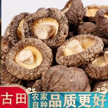 ����ֱ�l�㹽��؛�r���Ԯa�o���㹽��؛����ʳ�þ������㹽ë��