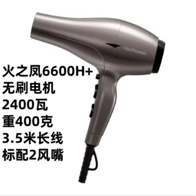 6600H+ 티타늄 그레이(브러시리스 모터 2400와트)