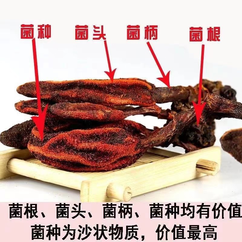 Yunnan Huichun Cao Dried Herb 500g Natural Sun-Dried Whole Herb for Culinary Herbal Use overview