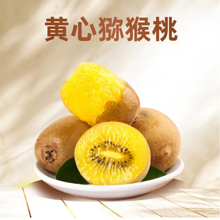 �J�����S���殐��ö������r�����ЋD�I�Bˮ���������Ҵ������