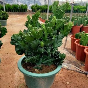 �������լ��ؔ�������҃ȾGֲ����ȩ��ݗ�仨�����������빫һĸ