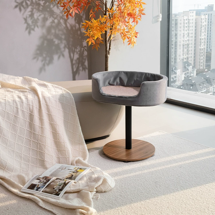 Кошачье гнездо зимой в офисе тепло