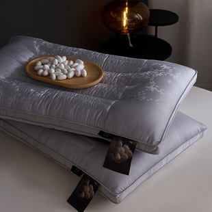 Five-Star Hotel Special Cassia Seed Silk Pillow Pure Cotton Cervical Spine Support Sleep Single Pillow Core Home Pair