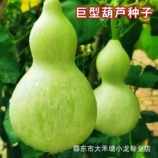 ���ͺ��J�N���ش���J�N���׷N�������J�N����С���J��Ȼ������J