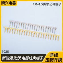 �ǘ˶��� ���~�حh�� �A�h�� Y�Ͷ� �~�ܶ��� O�ͽӾ������B����