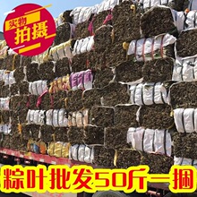 粽叶批发50斤整捆箬叶麻竹叶廖叶芦苇叶包粽子粽子叶商用统货新鲜