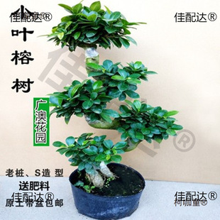 �ļ������䘶�辰���҃�ֲ���˅���С�~�Ř������¿��ͺ���