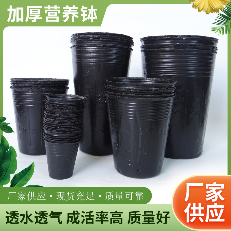 Factory produces nutritional bowl breeding bags Plastic breeding…
