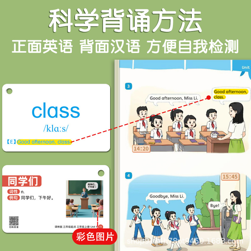 2025年新版译林版小学生英语单词卡片同步单词卡三年级起点|undefined