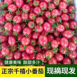5��ǧ���}Ů��С�������rˮ��������Ȼ�������߲����t�����԰��]