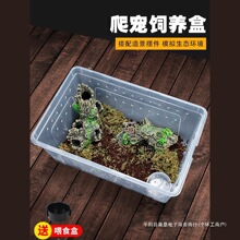 ֩����B�����������쾰��������b�Q�������x����������ϐ��B��