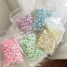 ҹ��ܛ�����������z�֙C����Ƭ����������Ʒʷ�Rķ���