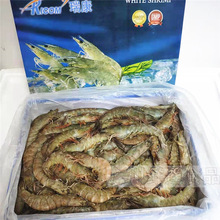 马来西亚虾 马来西亚虾品牌 图片 价格 马来西亚虾批发 阿里巴巴