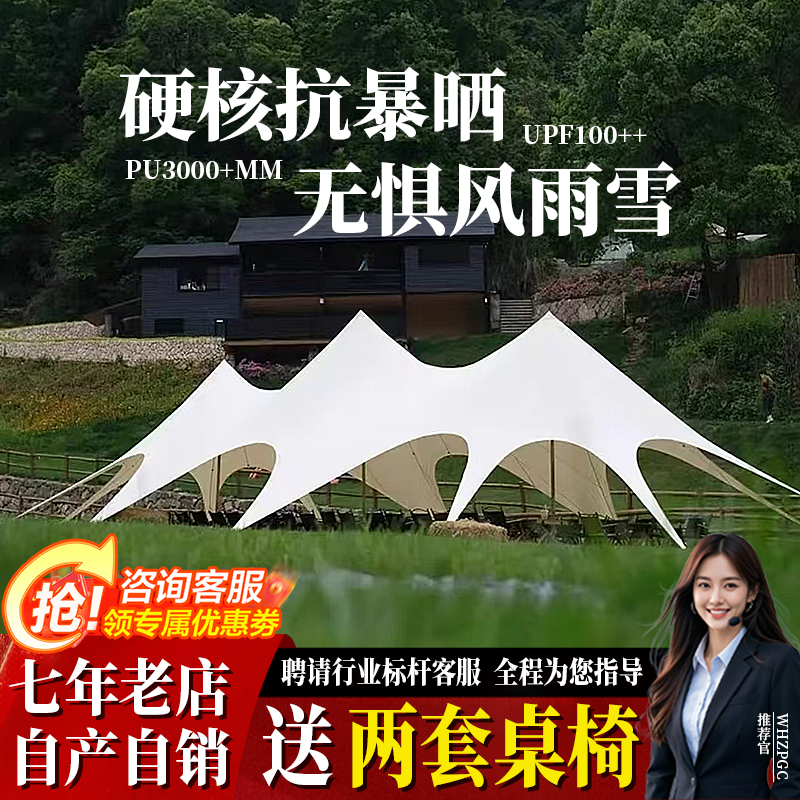 Wanzhongshan Canopy Large Tent Outdoor Equipment Sanfeng Yundong Canopy Sun Protection Camping New Awning
