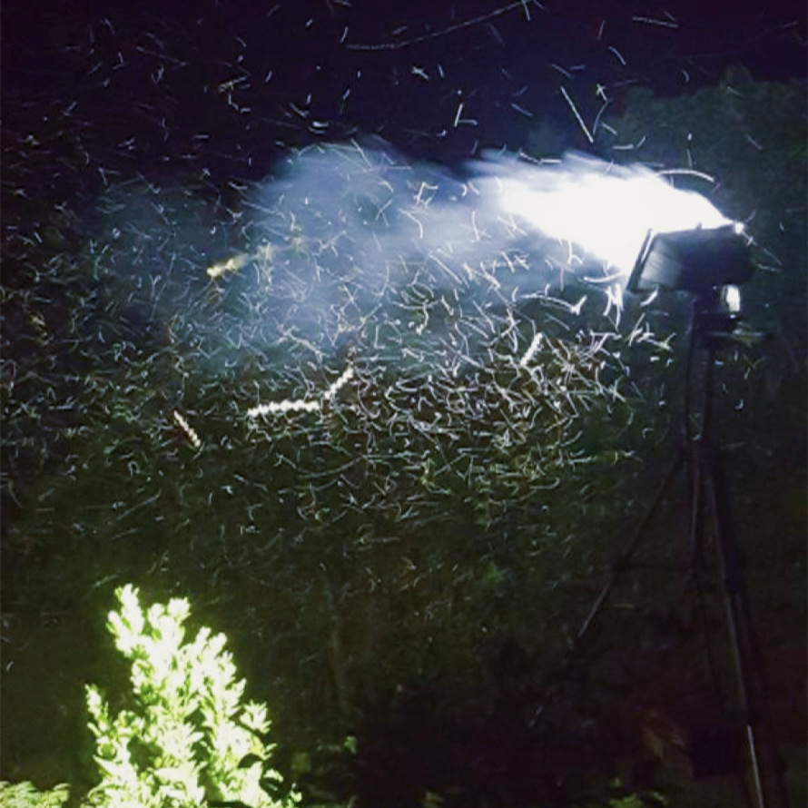 有翅飞虫被诱杀1_副本