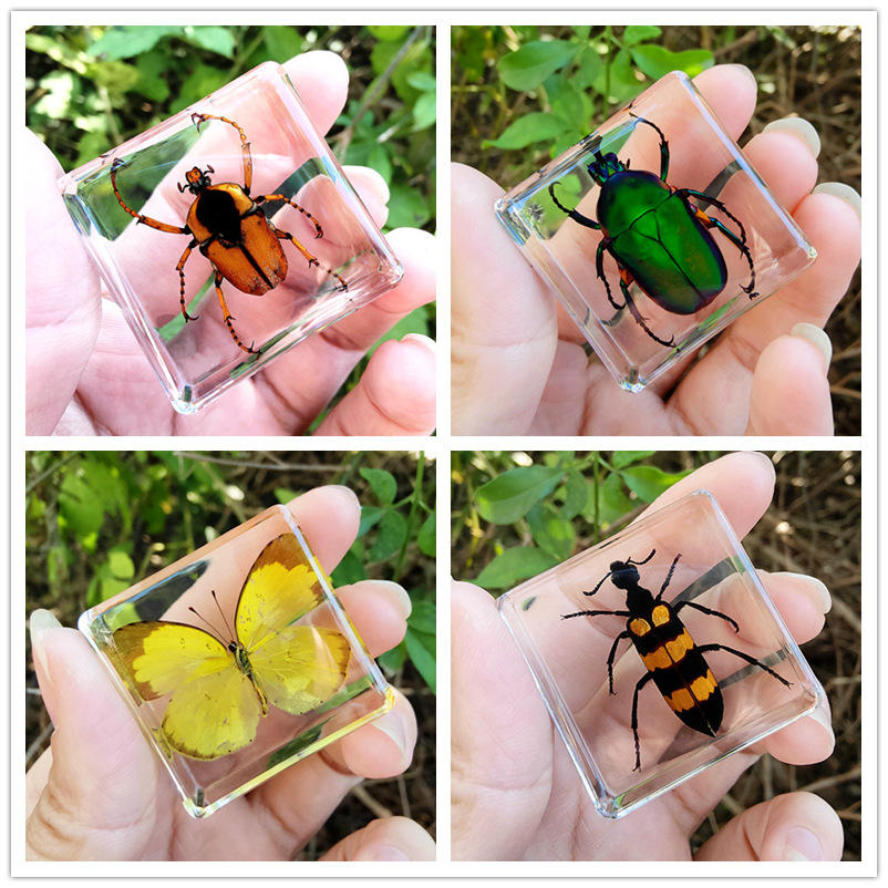 선물 상자가 없는 인기 판매 4가지 모델(핫 모델)