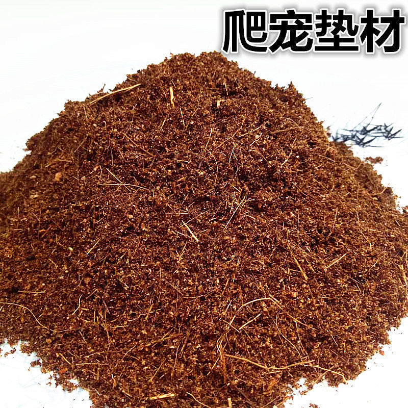 寄居蟹专用饲养爬宠饲养盒昆虫观察盒新手套装饲养缸寄居蟹套餐|undefined