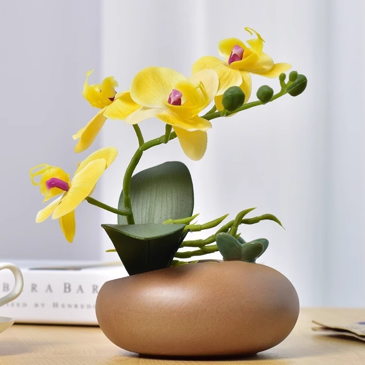 호접란 노란색 + 나비 세라믹 분지
