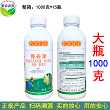 1kg 38%ݬȥҸȥPȥ ݄ F