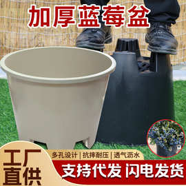 圆形大口径花盆加厚呼吸种植盆种植箱塑料侧排孔青山控根盆批发