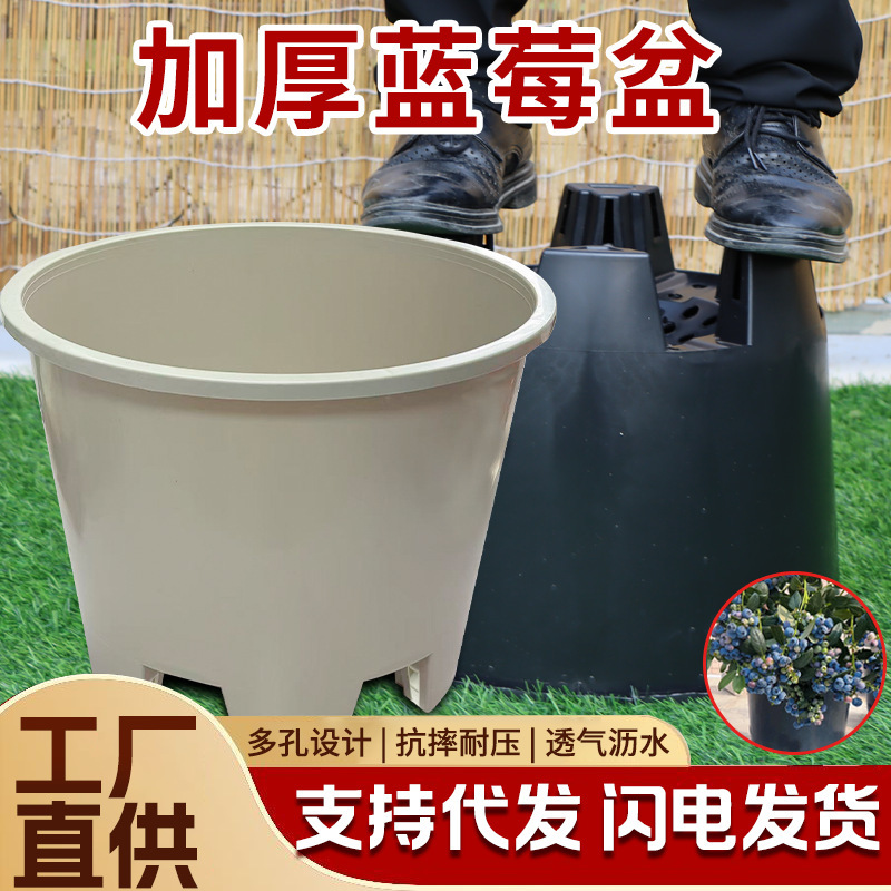 Large-Diameter Flower Pot for Blueberry Fruit Trees, Thickeneded Breathing Planting Pot, Round Resin Side Hole Qingshan Root Control Pot Large-Diameter Flower Pot for Blueberry Fruit Trees, Thickeneded Breathing Planting Pot, Round Resin Side Hole Qingshan Root Control Pot