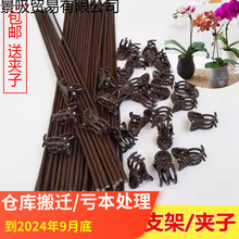 ��ɫ�F�z�����m��֧���m�A��֧�ΗUֲ�ﻨ�̶ܹ�������m���A