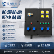 定制防爆防腐配电箱/配电装置WF2防爆控制箱开关箱工程塑料铝合金