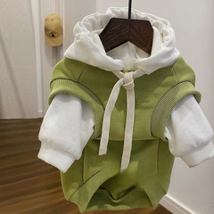 春夏季狗狗衣服潮牌防掉毛雪納瑞泰迪比熊博美茶杯犬貓咪衣服王金