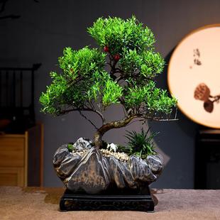 Small Leaf Red Nan Shape Bonsai Indoor Green Plant Potted Living Room Office Living Room Desktop Plant Teacher's Day Gift