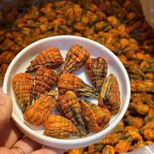 ���l ��ϲ��~ 2025�괺���P�c��t�� �ٺό��� ����t��500gɢ��