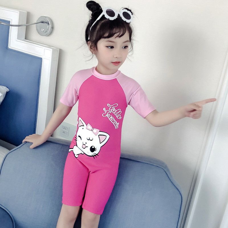 핑크색 아기 고양이