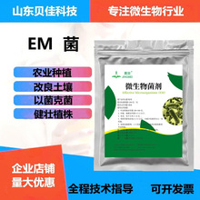 ؐѷۄEMNֲþ~ʛ_ʩιrø΢