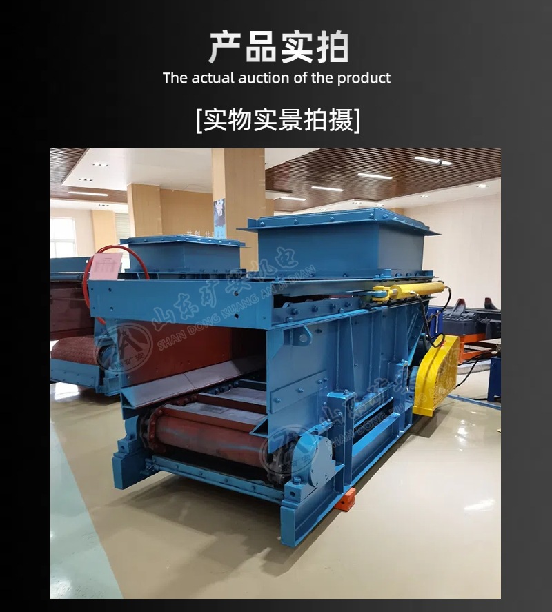 链式给料机详情 (5).jpg