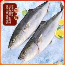 �ƽ���������������������ٶ�����Ұ���㺣��һ��������