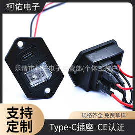 储能箱专用透明船型开关 Type-C 一体座 带螺丝固定耳引出电源线