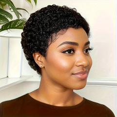 アフリカの小さい巻きの女性の対外貿易のウールの巻きの短いかつらの祝日の頭のカバーの真人の髪のhuman hair wig