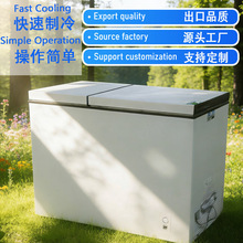 ˫��˫�������������������䶳��Freezer 227L���ñ��� 2021��