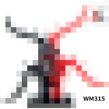 ��ó��Ʒ������ WM315��Һ�����ľƴװ����