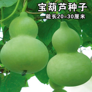 �����J�ϷN��ʳ�ò˺��J���^�p��ʳ�ú��J�N�Ѿƺ��J���������׷N