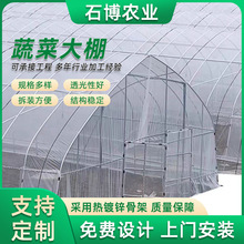 工厂销售温室连栋大棚养殖蔬菜大棚钢管跨度8米现货速发免费指导