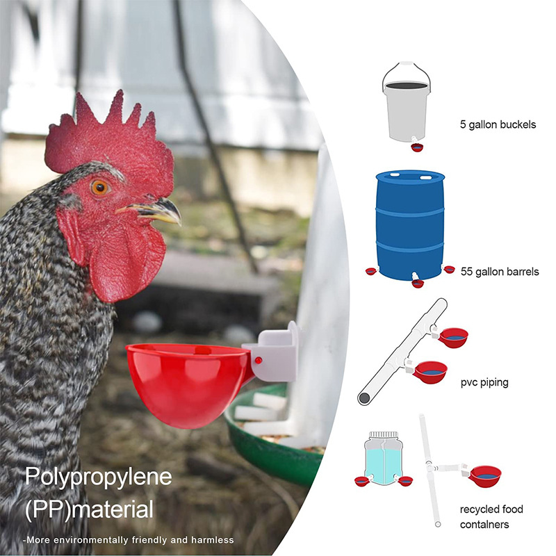 Tazón para beber para pollo transfronterizo Tazón para beber Pollo Beber para aves de corral Nueva fábrica de bebederos automáticos para pollos, patos y gansos