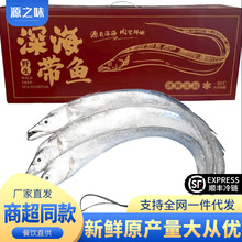 【礼盒装】整条带鱼整条大号东海油带鱼新鲜油刀鱼带鱼海鱼商用