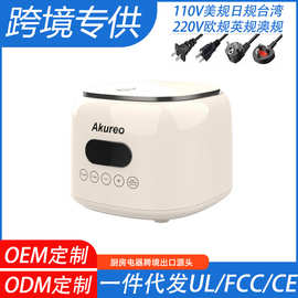 Amazon跨境电饭煲智能110v电锅滤篮多功能电饭锅出口台湾美国日本
