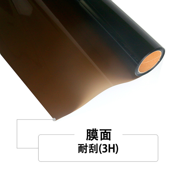 Camellia glass film
