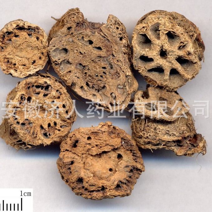 批发藕节 藕叶 各种规格安徽特产