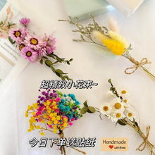 MǸɻbڒ廨ƿdiyϰT޹