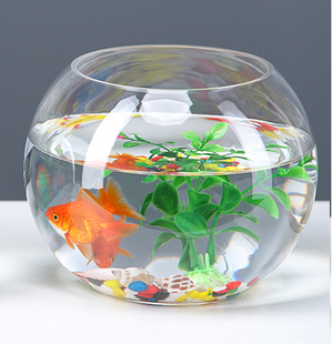 Office Small Fish Tank Thickeneded Transparent Glass Turtle Tank Living Room Home Desktop Round Mini Small Gold King