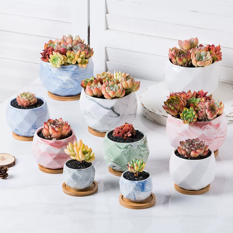 Мясо цветочный горшок креативный индивидуальность мрамор керамический растительный мякоть северный маленький цветочный горшок большого диаметра с подносом