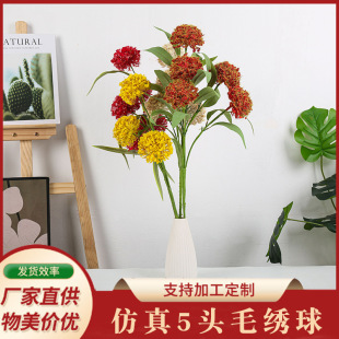 ������ɫ5�^ë����ջ��ҾӔ[���b����ٻ���c��Y���Ŵ����