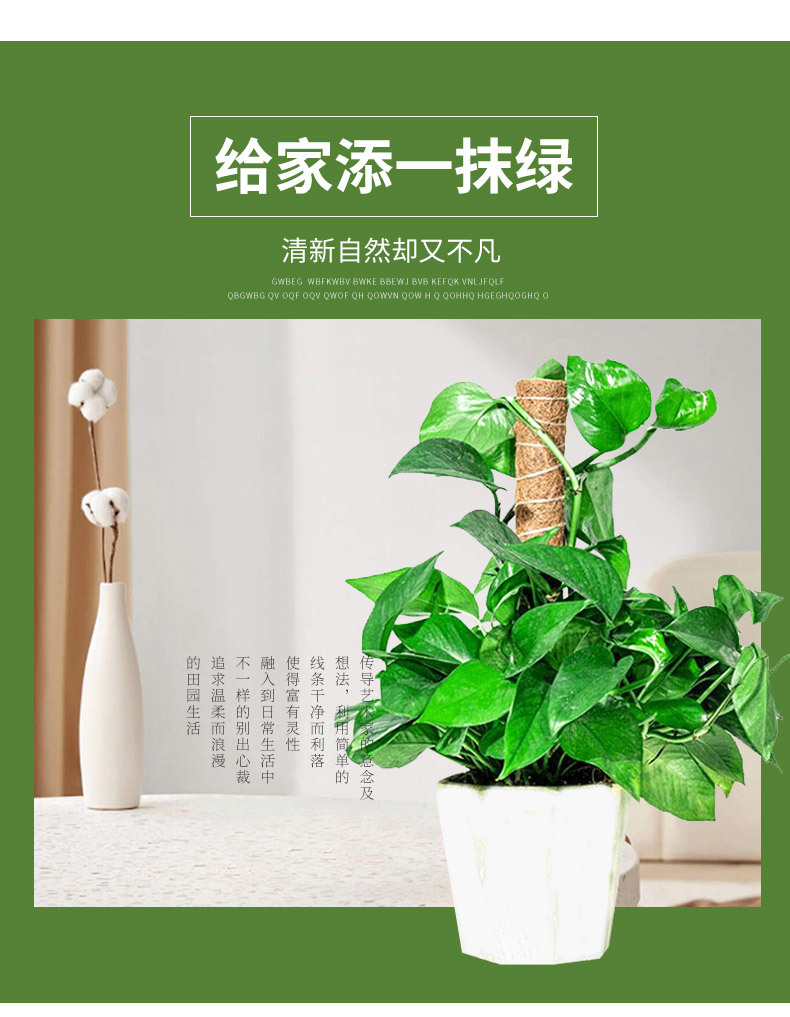 O1CN01K4I85t1JM00NwjhhX_!!2214660621013-0-cib.jpg?__r__=1667443238944